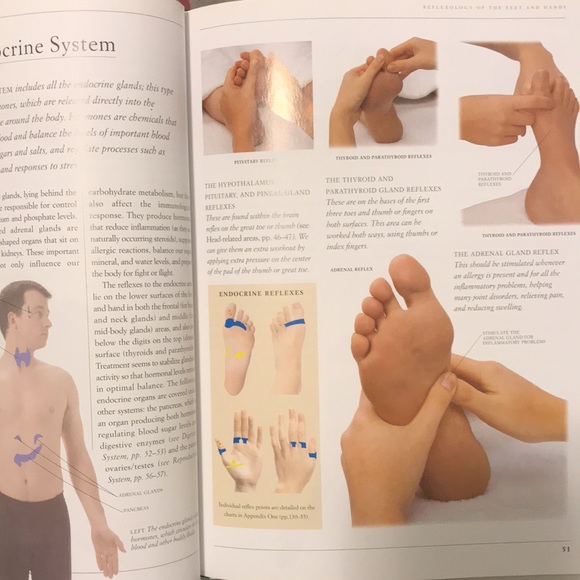 Reflexology A Basic Guide Illustrated Book by Beryl Crane EUC w/ Body Maps 1999 - Picture 4 of 6